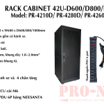 Tủ Rack 42U 19 inch PRONET D1000